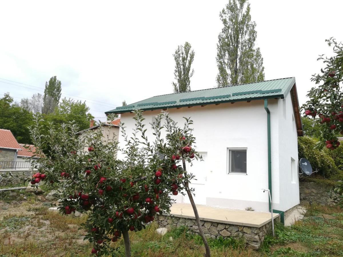 Villa Lila Dolno Dupeni Ngoại thất bức ảnh