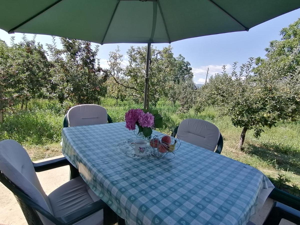 Villa Lila Dolno Dupeni Ngoại thất bức ảnh