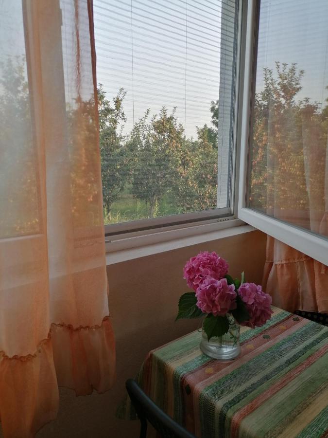 Villa Lila Dolno Dupeni Ngoại thất bức ảnh